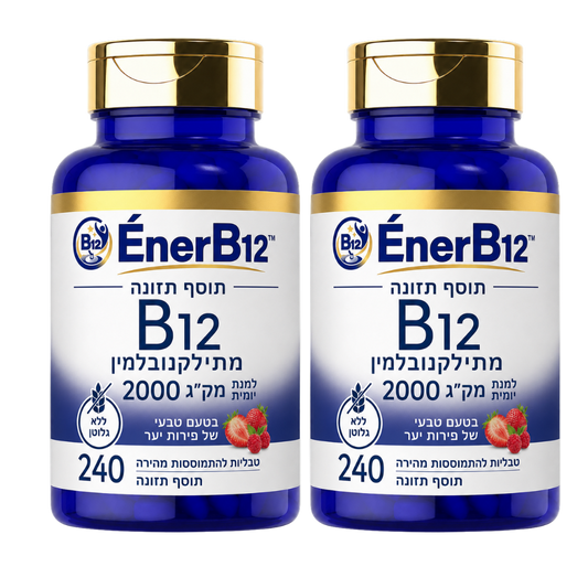 EnerB12