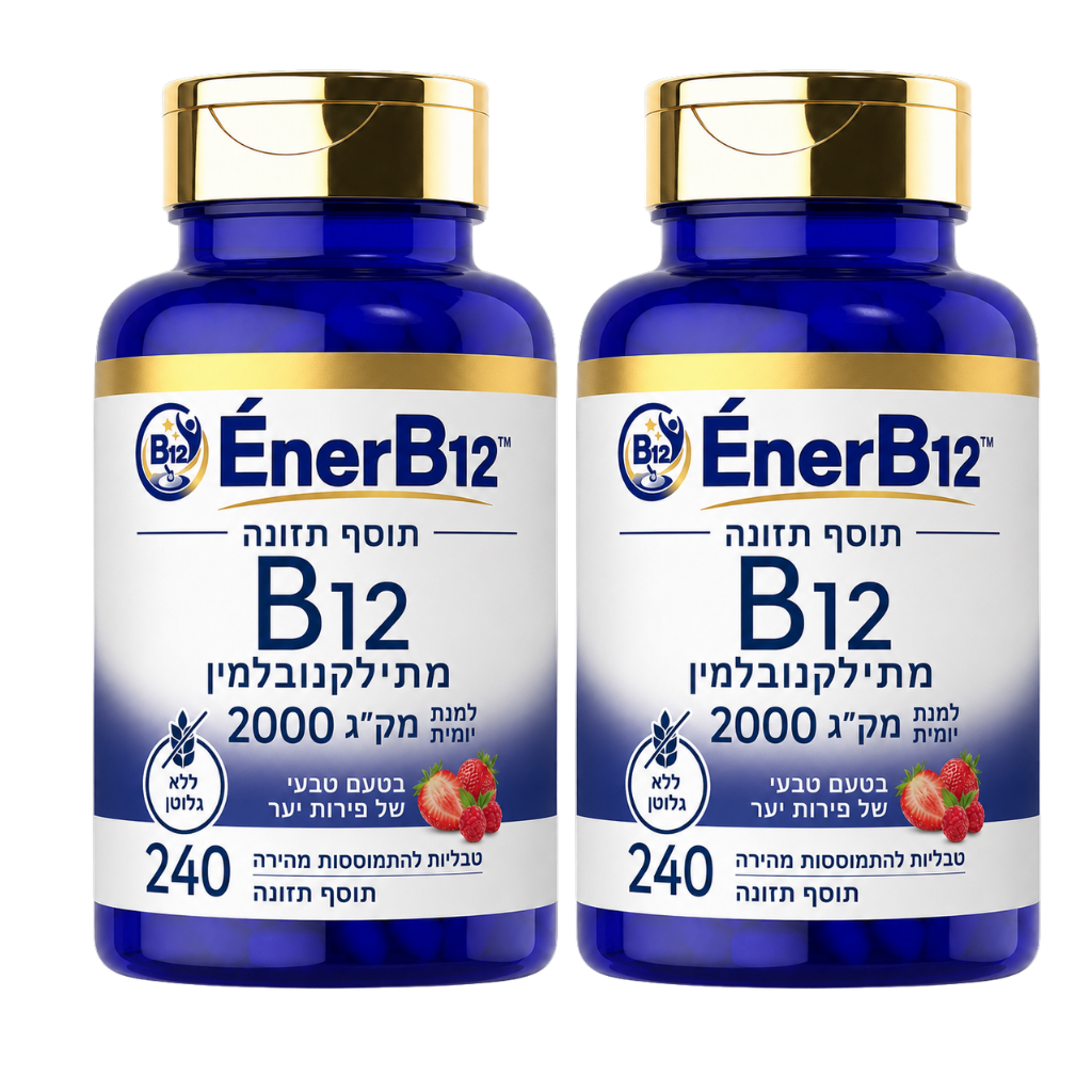 EnerB12